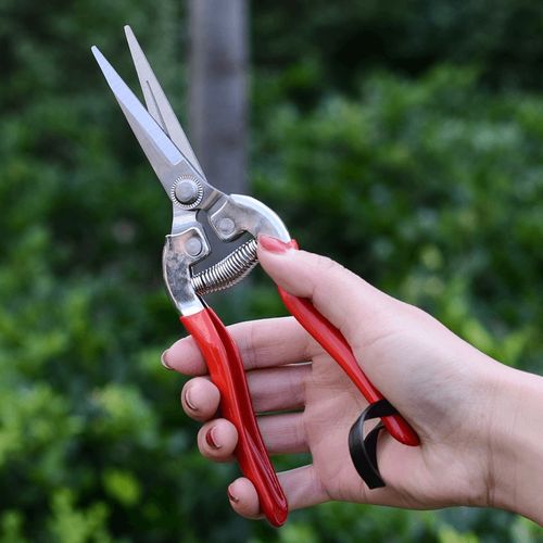 速发修枝剪刀专用修花剪刀修枝剪园家月季细枝条锋艺利用花剪园艺