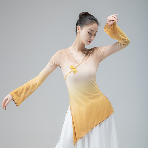 速发演典舞练功身渐变民族服韵古出专业成人中国舞纱衣舞蹈服装瑜