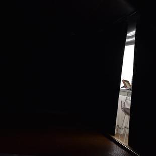 纯黑床帘强遮光宿舍上下铺加厚帘子上铺下铺学生寝室桌帘围帘窗帘