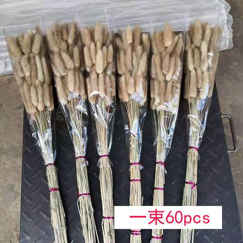 兔尾草干花一束60支家居装饰原色干花兔尾草真花云南干花厂家