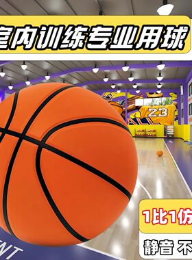 加重静音篮球真【1比1】儿童青少年专业训练室内超高回弹不扰民Q