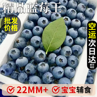 云南花香蓝莓新鲜水果特大果怡颗应季整箱包邮l25浆果高山斤18mm