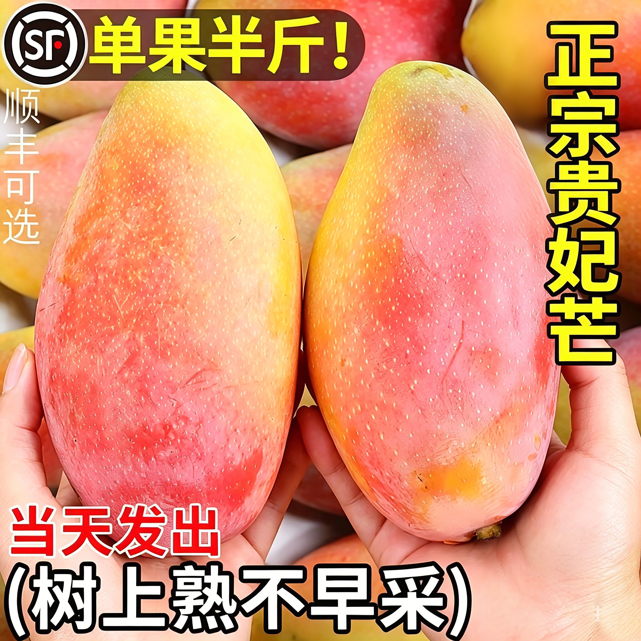 顺丰贵妃芒果新鲜大果10当季应季水果时令树上熟整箱包邮斤非海南