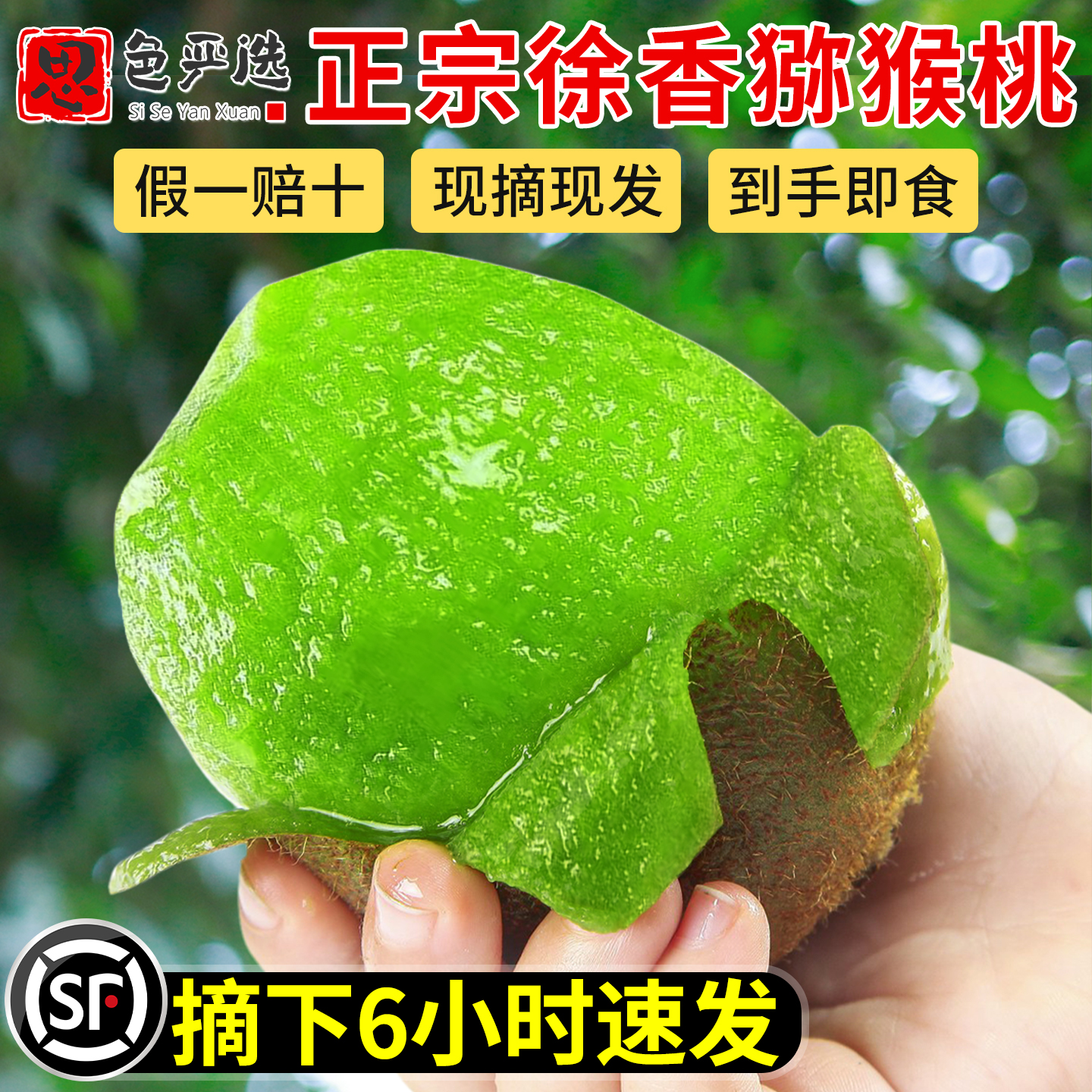 比进口猕猴桃还好吃的徐香猕猴桃