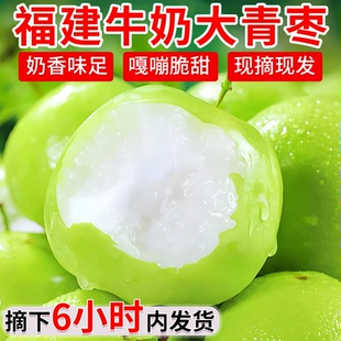 福建现货牛奶枣大青枣5新鲜冬枣贵妃鲜枣新鲜水果脆枣子东枣包邮