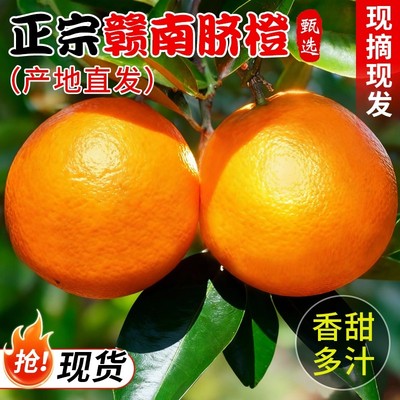 江西正宗赣南脐橙新鲜橙子10斤大果赣州产地直发20斤水果官方旗舰