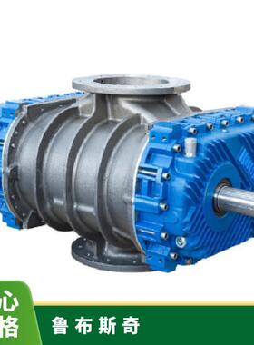 鲁布斯奇Robuschi容积式螺杆式鼓风机减少了内外载荷造成的变形