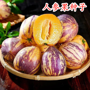 人参果种子人身果种籽特色水果蔬菜种籽圆形黄心高产大面积包邮