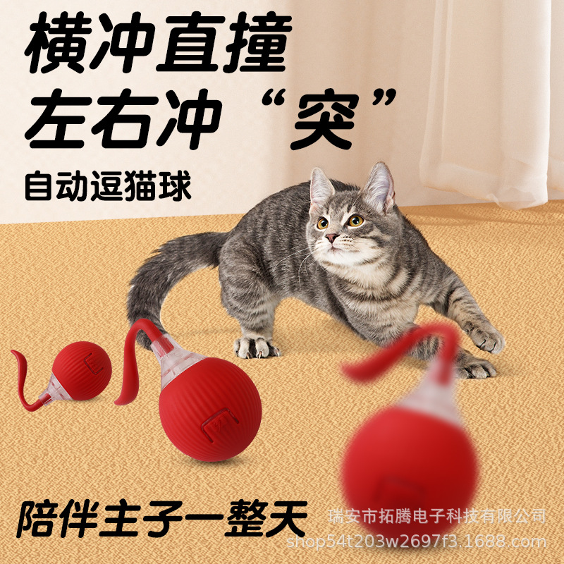 新款宠物用品智能滚滚球猫咪玩具 自嗨解闷逗猫玩具 宠物耐咬玩具