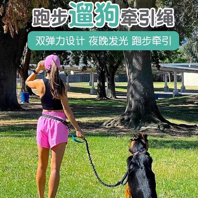 狗狗免提牵引绳户外遛狗防暴冲可伸缩调节腰带跑步反光弹力