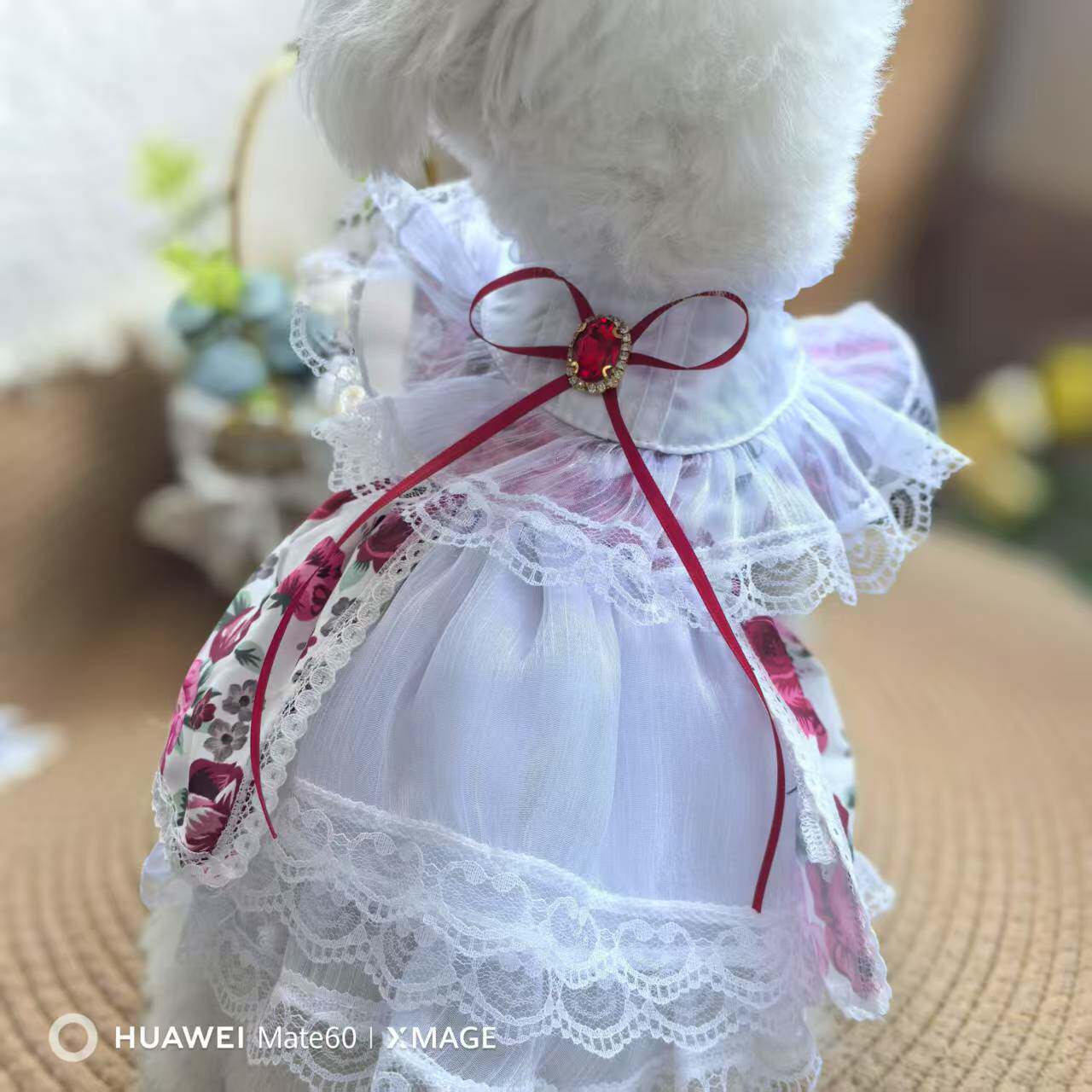 狗狗衣服夏天薄款宠物洋气宠物狗衣服狗狗礼服猫咪兔子公主裙子衣