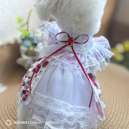 狗狗衣服夏天薄款宠物洋气宠物狗衣服狗狗礼服猫咪兔子公主裙子衣
