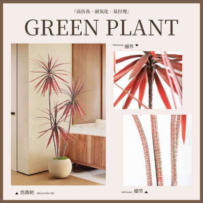 大型仿真绿植盆栽假植物龙舌兰千年木室内客厅商场落地装饰摆件