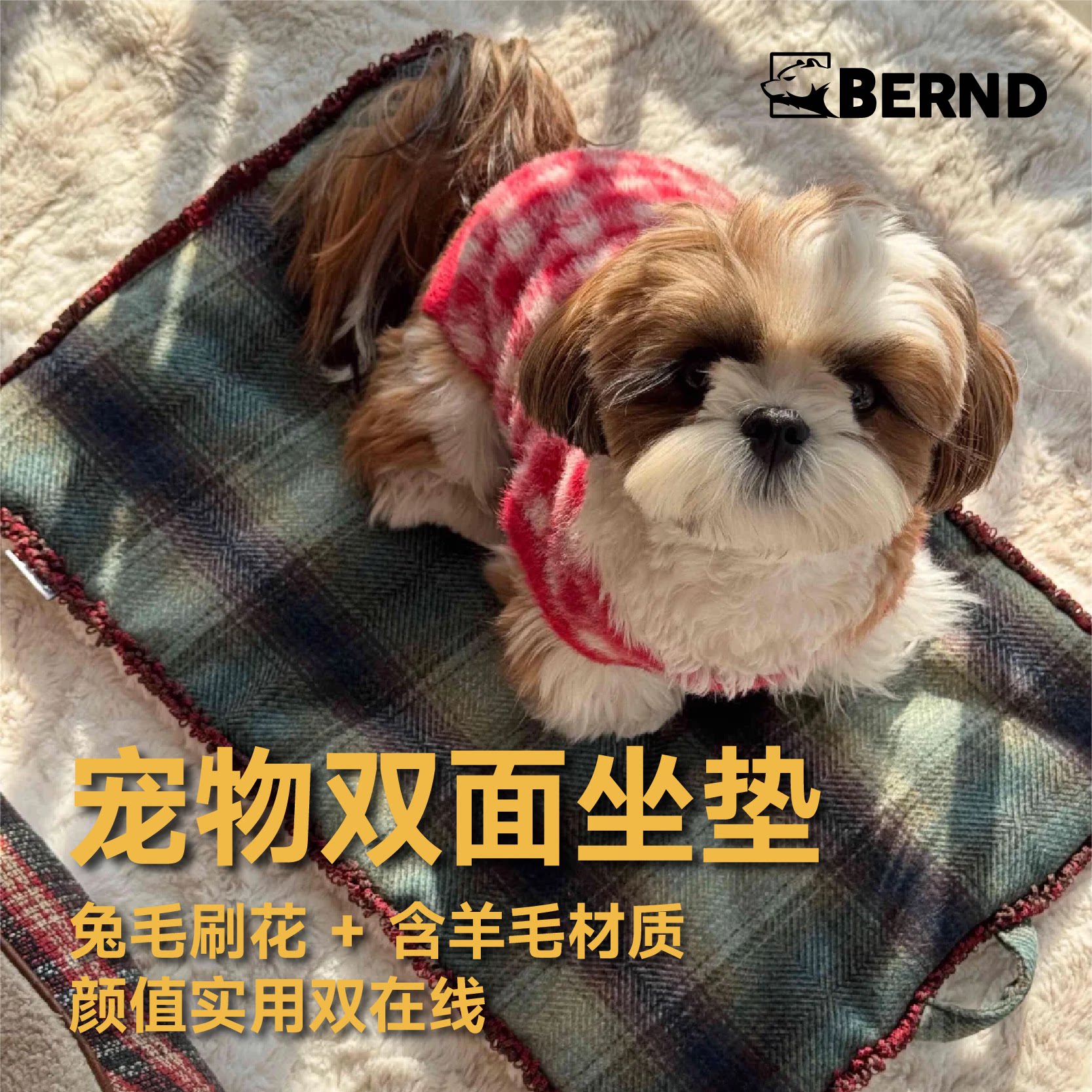 Bernd宠物猫猫小型犬双面坐垫图片