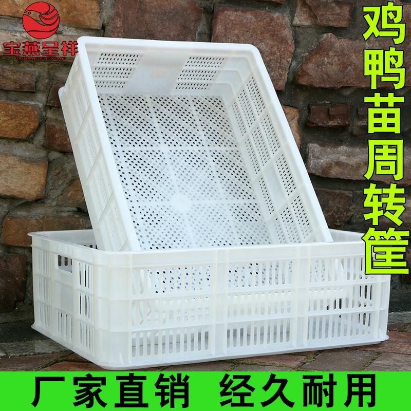 鸡苗筐鸭苗框周转框物流运输箱收纳筐鸡笼家禽雏鸡周转箱鸡鸭塑料