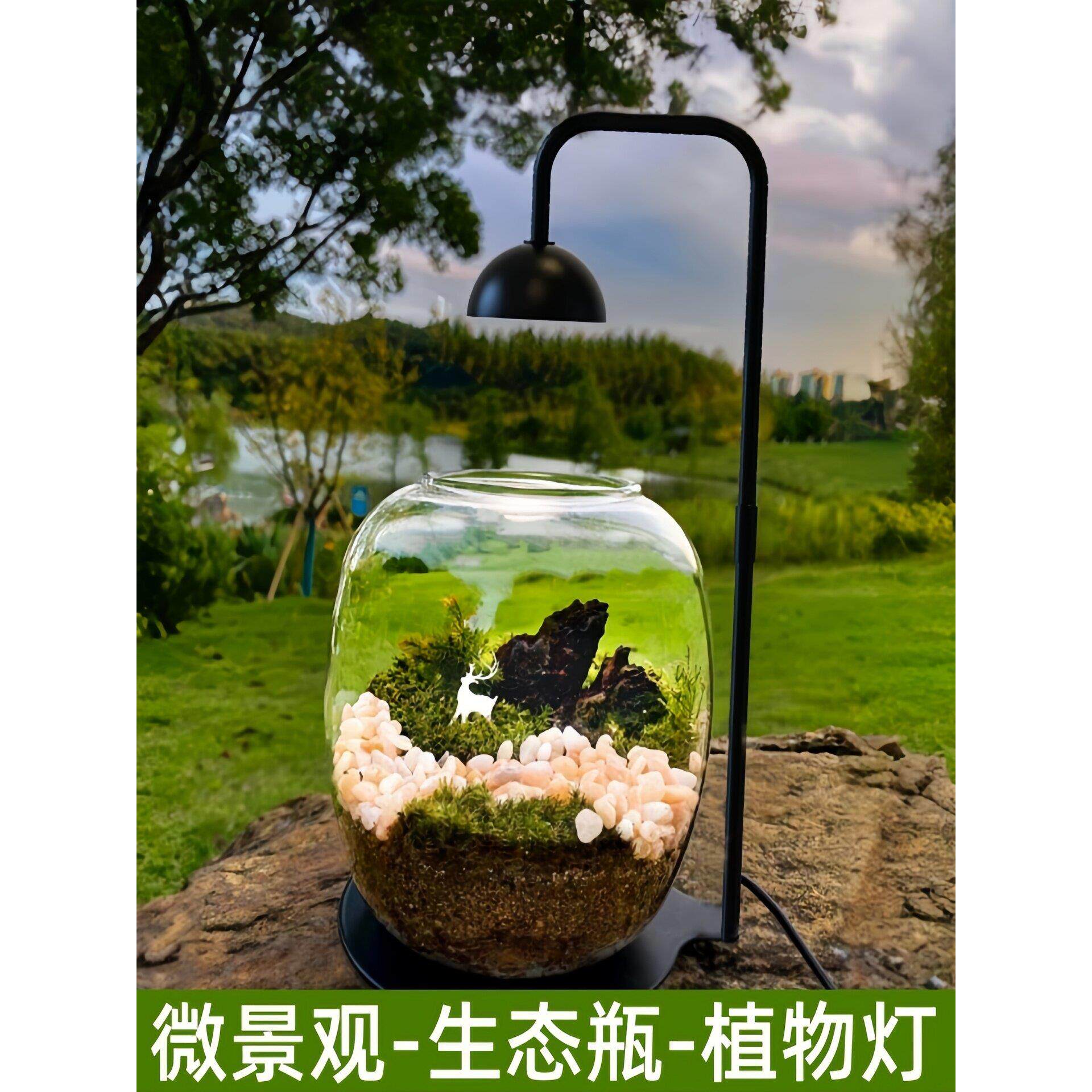 全光谱Led微景观生态瓶补光灯彷日光苔藓灯遮荫植物生长气氛光