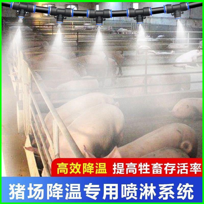 养殖场农用喷雾系统自动定时细雾雾化微喷头鸡舍牛棚猪场消毒除臭
