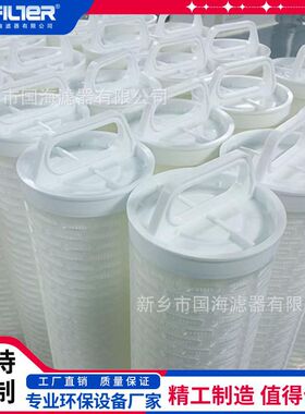 60寸大通量折叠滤芯 工业循环污水处理保安大流量滤芯HFU640UY100