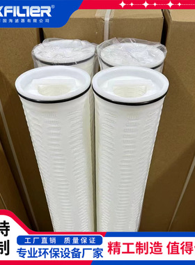 HFU640UY100大流量水滤芯 纳污量大 60寸保安过滤器大通量滤芯