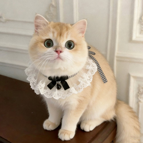 宠物口水巾猫咪围脖小狗项圈