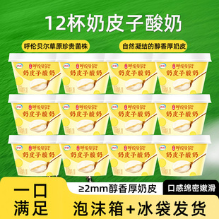 伊利宫酪呼伦贝尔奶皮子酸奶发酵醇香厚奶皮入口即化