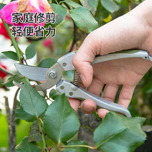 沃施worth园艺家用修枝剪盆栽绿植修剪树枝花枝剪花艺剪鲜花剪刀