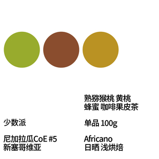 FEW少数派Steam Kissed尼加拉瓜CoE#5日晒Africano手冲咖啡豆