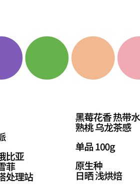 FEW少数派Steam Kissed埃塞俄比亚耶加雪菲日晒手冲咖啡