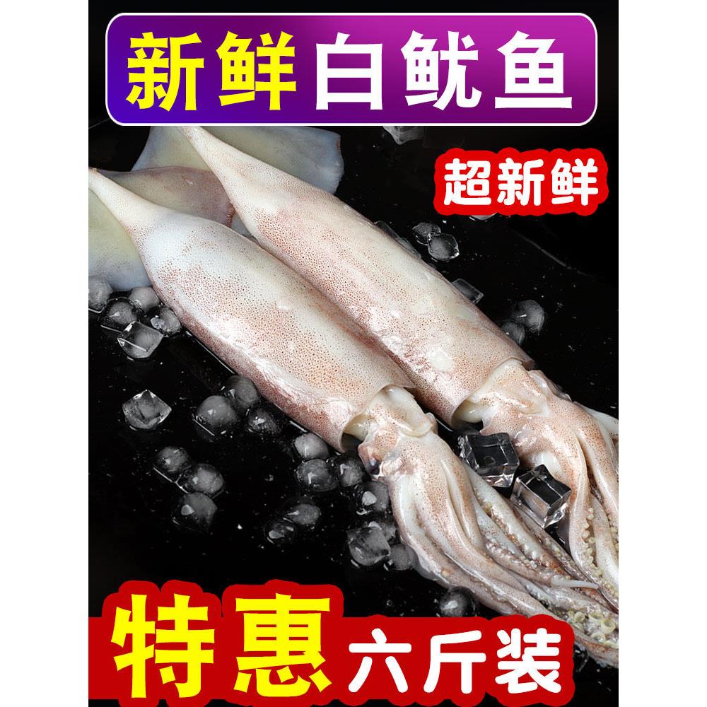 鱿鱼冷冻海鲜 新鲜笔管鱿鱼尤鱼整只 冰冻章鱼小八爪鱼 白鱿鱼