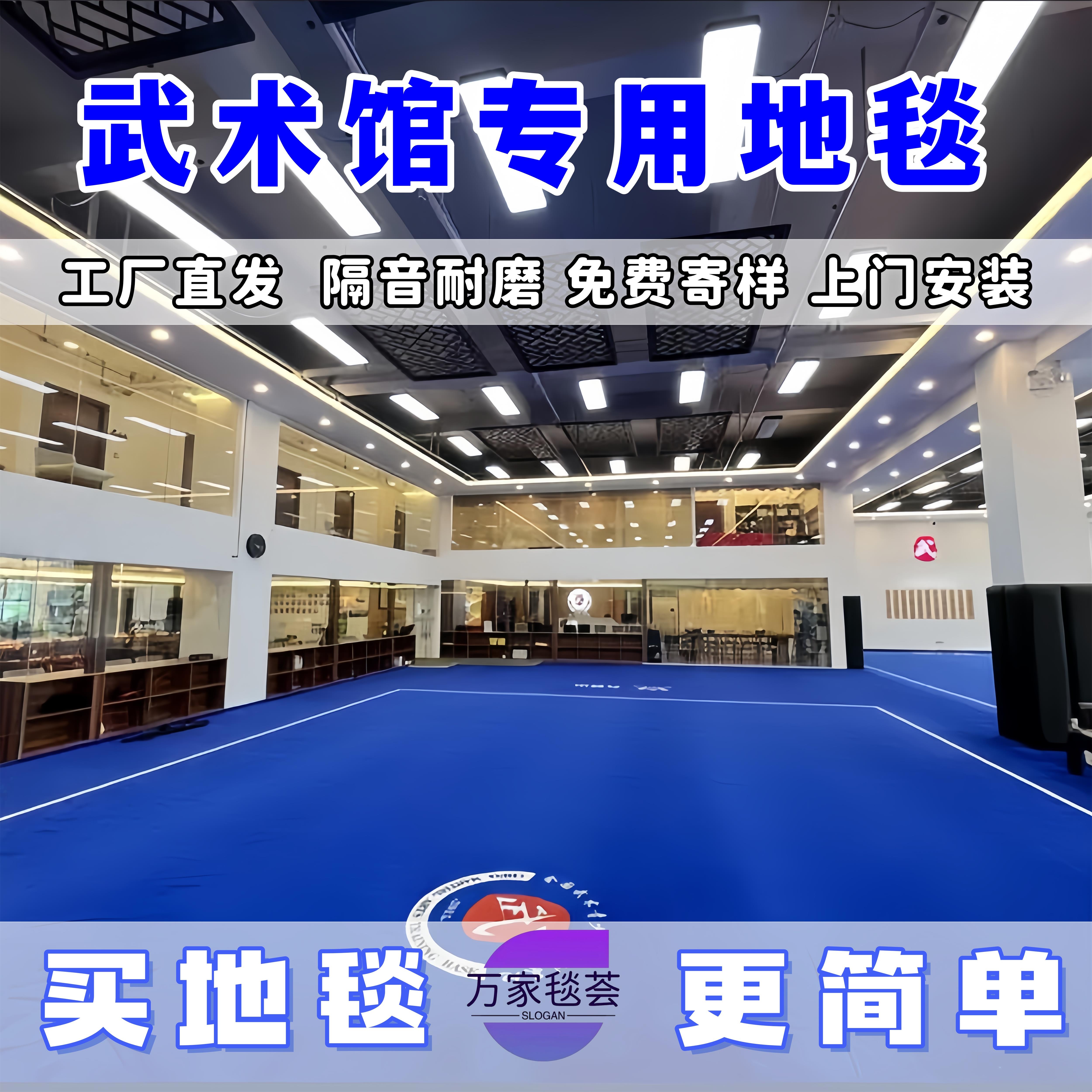 武术馆专用地毯定制加厚耐磨散打训练跆拳道舞蹈家用卧室走廊舞台