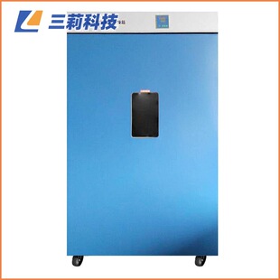 620升大容积高温恒温烘箱 300℃ 上海一恒DHG 9625A鼓风干燥箱