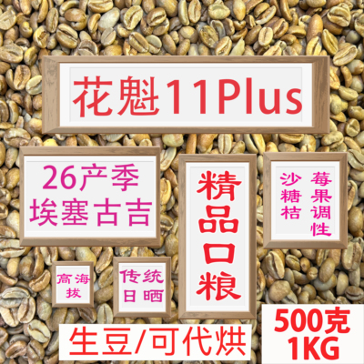(咖啡生豆)26产季花魁11plus咖啡豆埃塞尔比亚花魁手冲咖啡豆进口
