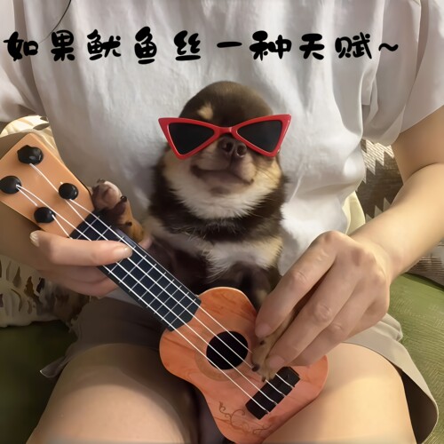 小狗秒变摇滚明星！复古红墨镜