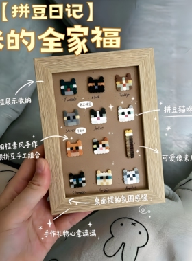 我的世界猫咪图鉴拼豆相框