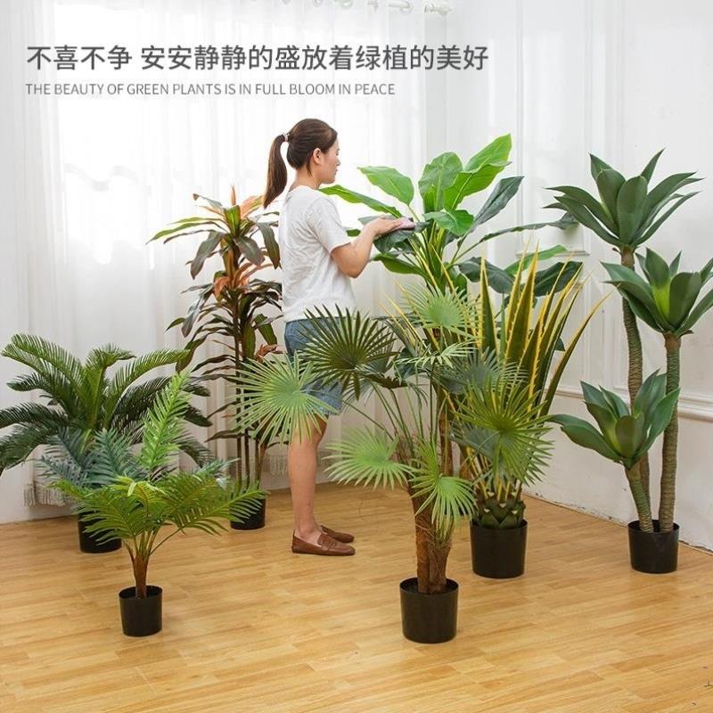 仿真吊钟琴叶榕盆景栽植物室内摆件绿植芭蕉树家居客厅仿真树盆栽
