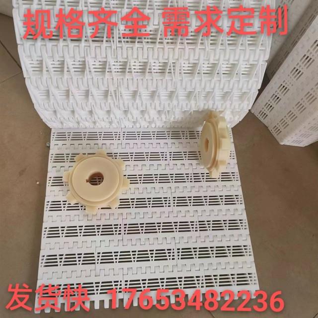 尼龙塑料链板网带输送带opb 食品级塑料网链耐酸碱耐高温传动网带