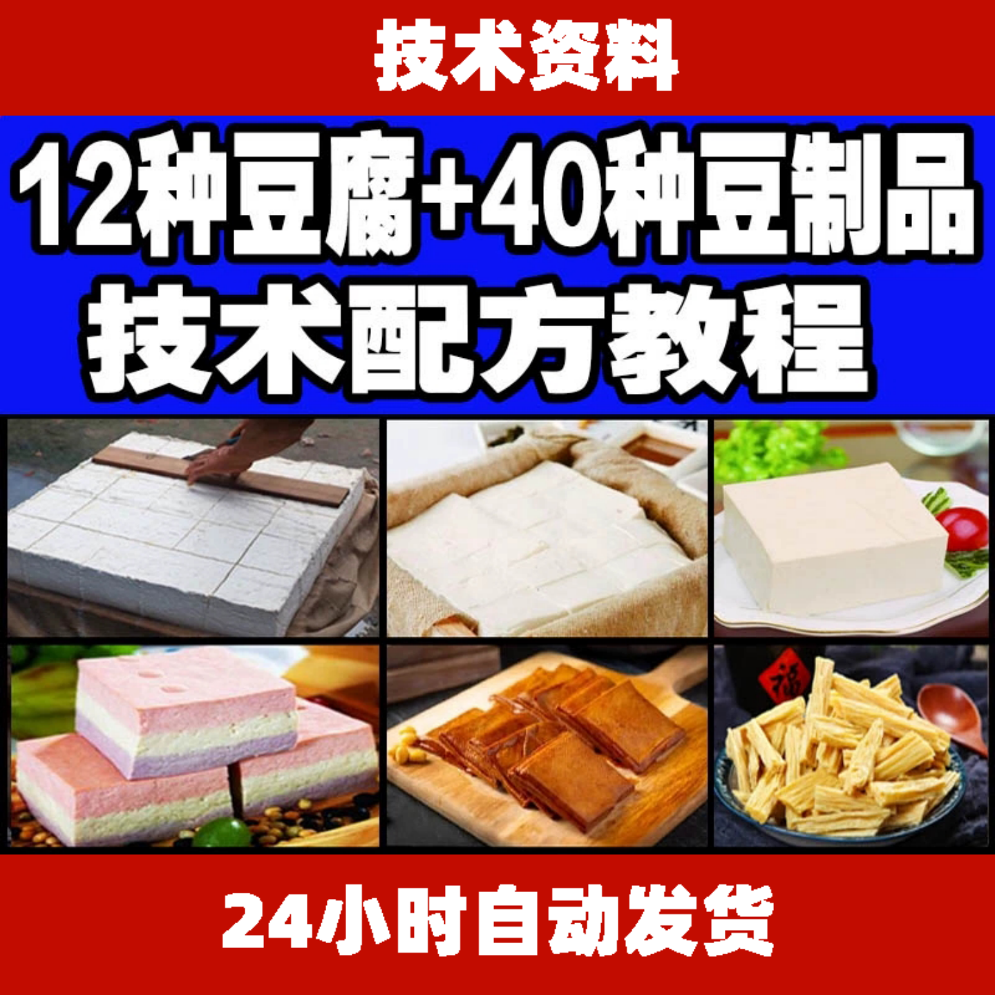 豆制品加工技术资料12种豆腐40种豆制品制作配方教程技术配方全套