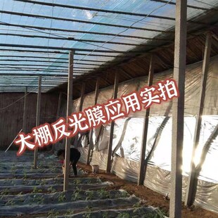 好货格亿反光膜幕农用果树果实增色上色大棚后墙挂增温补光葡萄增