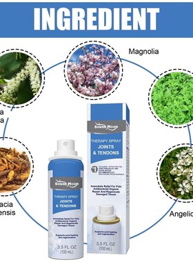 Feet Calcaneal Spur Tendonitis Bone Heel Heel Counter