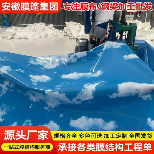 车棚pvc膜布篷布加工推拉蓬防雨防水布加工 pvdf快速门门帘布