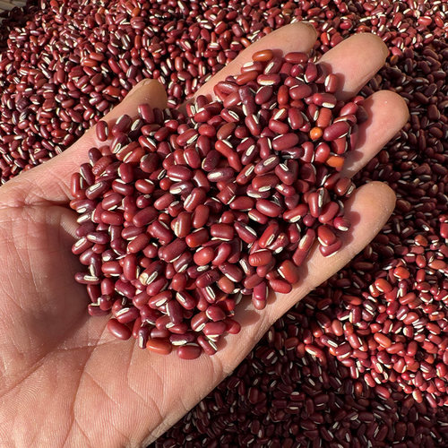 长粒农家自产杂粮薏米粥红赤豆