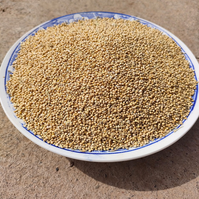 农家自产5斤新米谷子杂粮