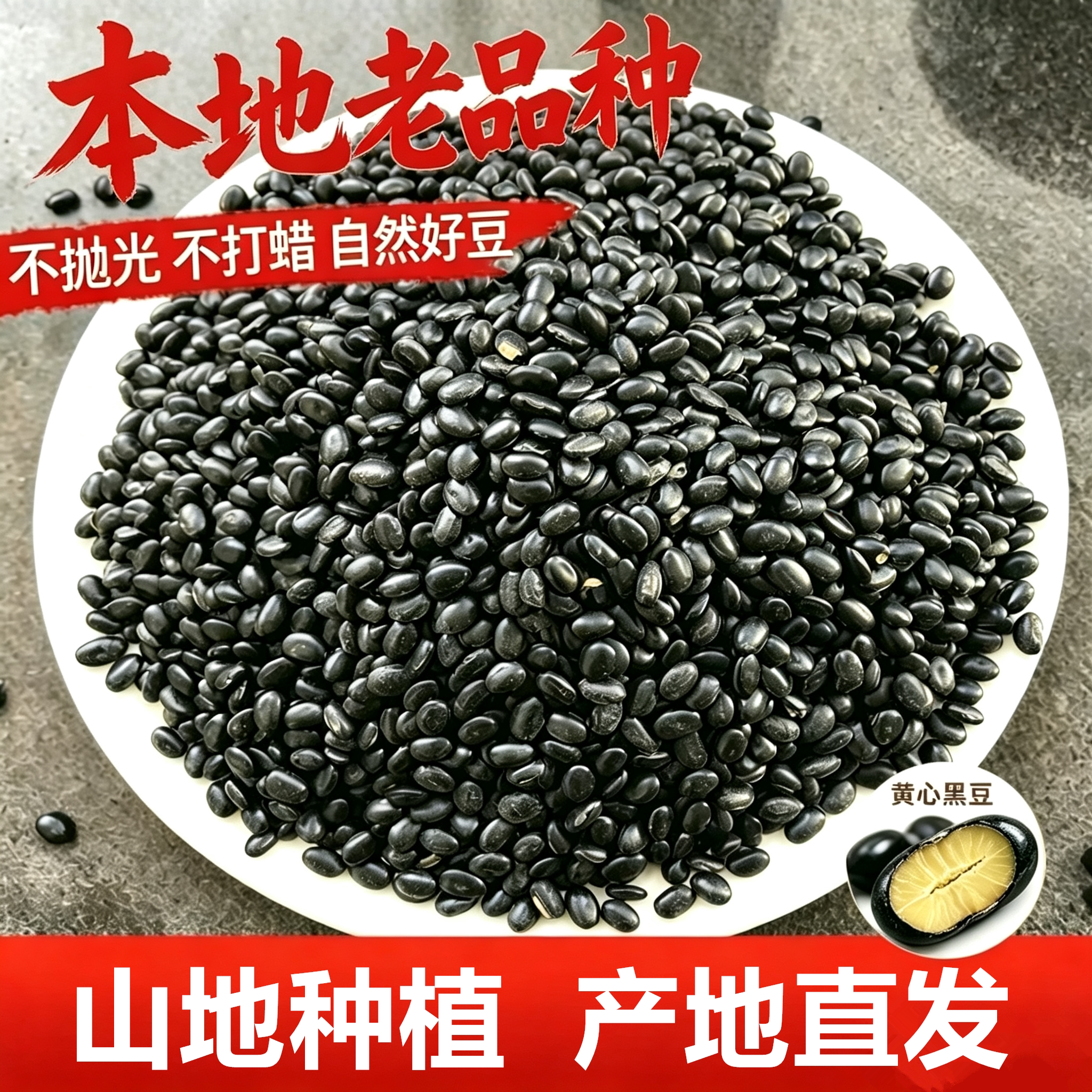 山地种植肾形黄心黑豆