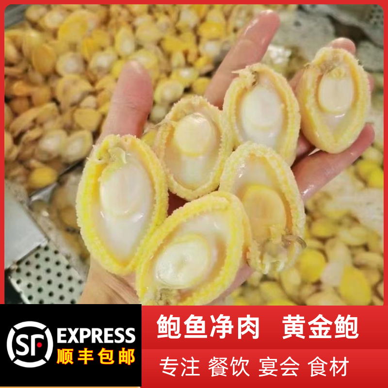 黄金鲍鱼净肉冷冻海鲜水产大鲍鱼肉去内脏餐饮佛跳墙酒店品质食材