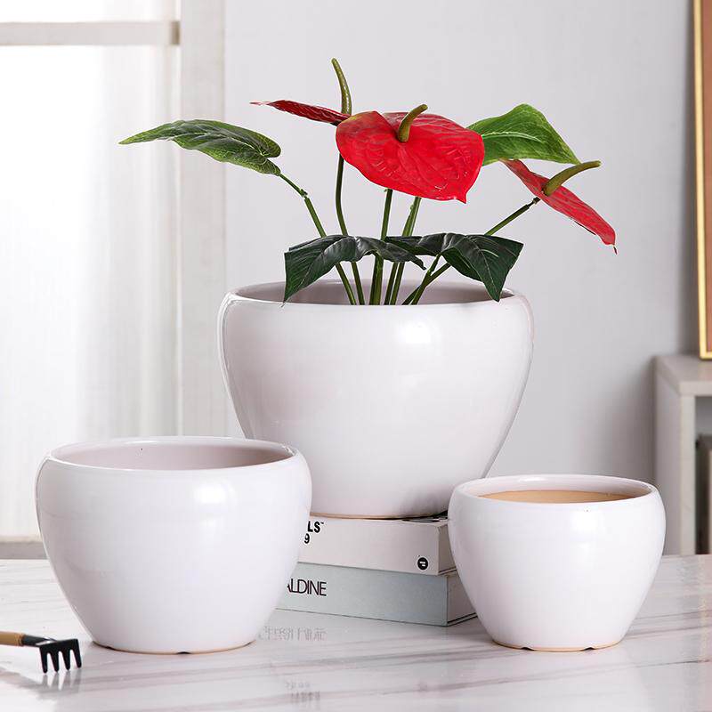 特大码虎皮兰专用桌面简约陶瓷