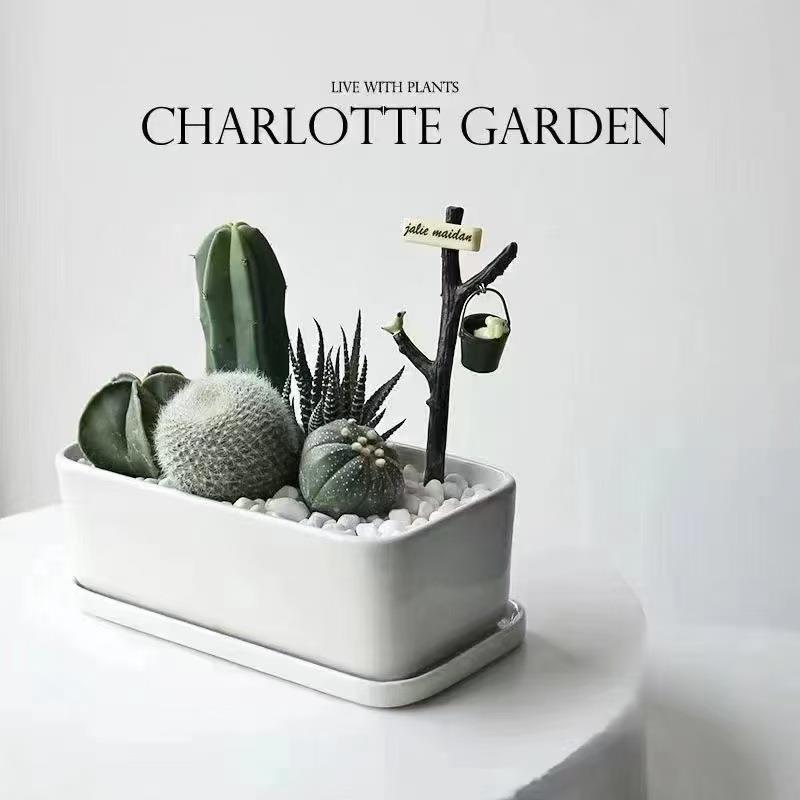 爆款多肉植物陶瓷花盆 简约多肉花盆花器 创意长方盆 白瓷花盆