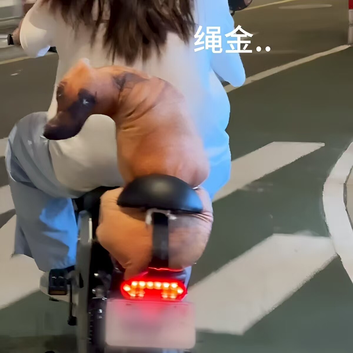 抽象狗狗抱枕创意3D毛绒玩偶趣味搞怪单身狗靠枕送闺蜜七夕礼物