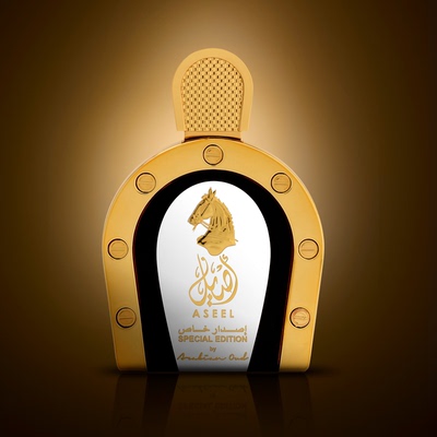 东方优雅骑士甜美辛辣温暖小众