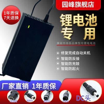 电动车锂瓶池充电器24V36V48v67伏20aHA安滑板车哈雷代驾独轮航空