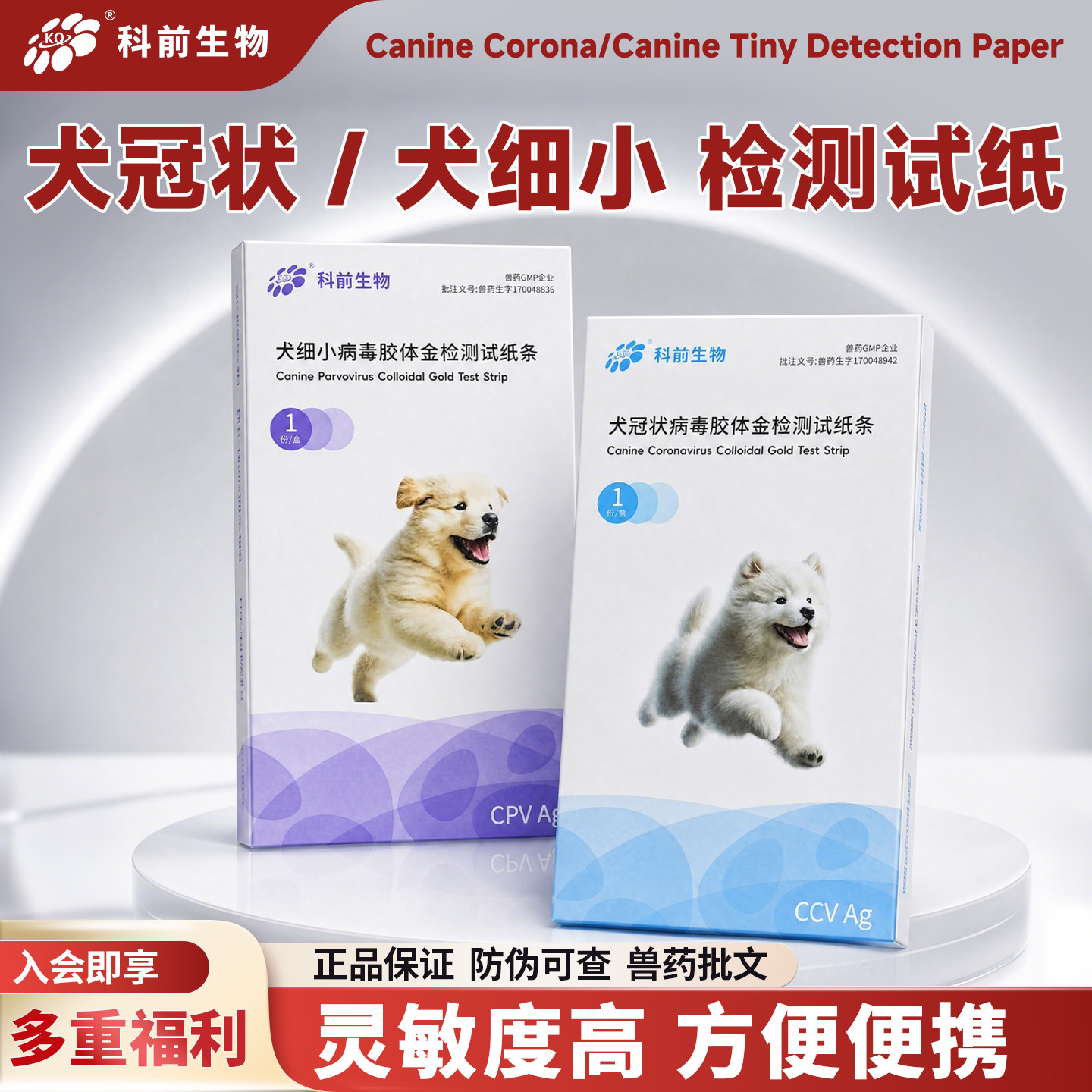 宠物病毒测试纸狗狗犬冠状病毒CCV犬细小病毒CPV胶体金检测试纸狗